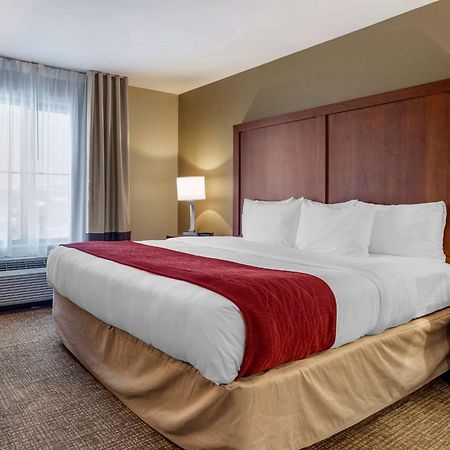 Comfort Inn&Suites Russellville I-40 Eksteriør bilde