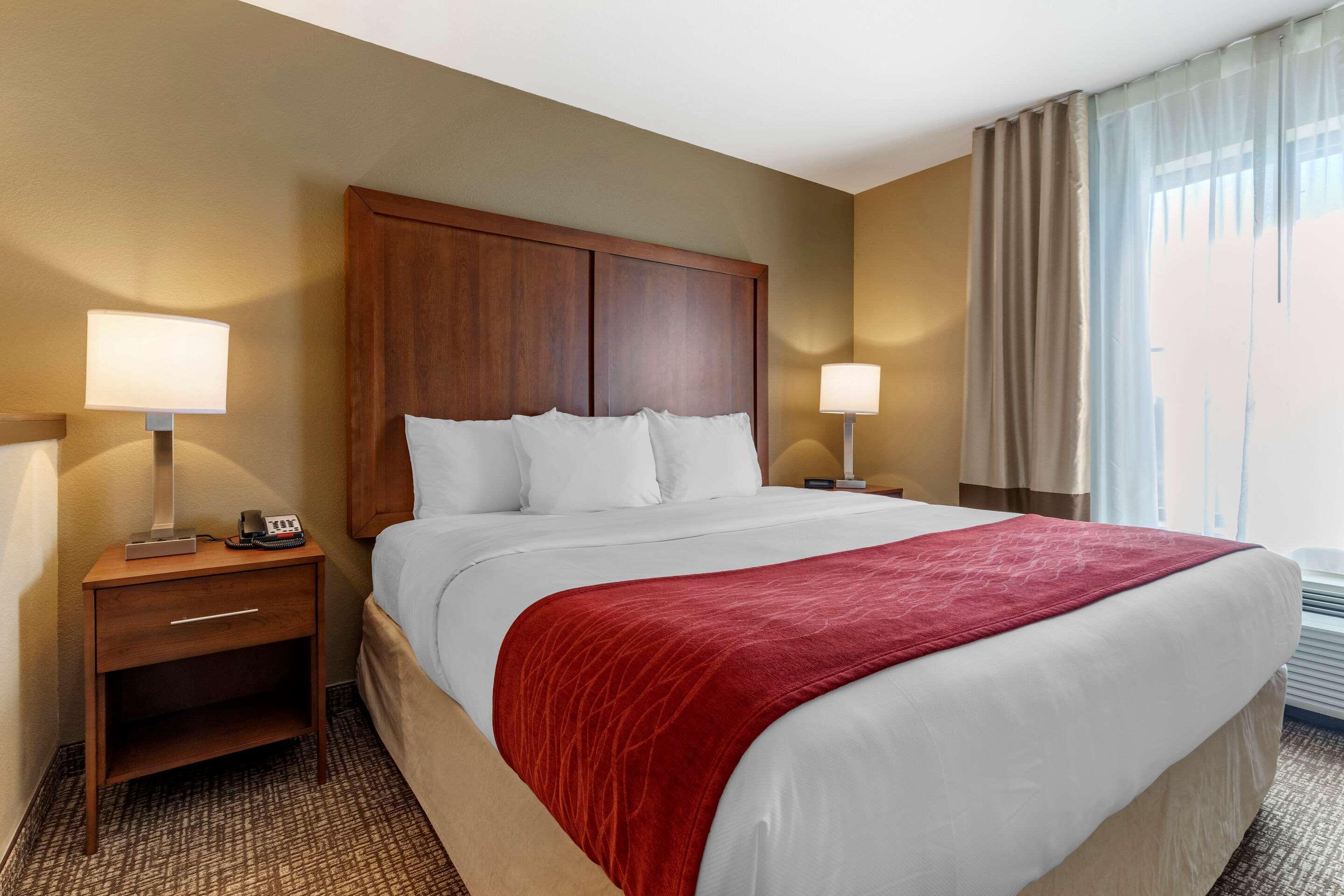 Comfort Inn&Suites Russellville I-40 Eksteriør bilde