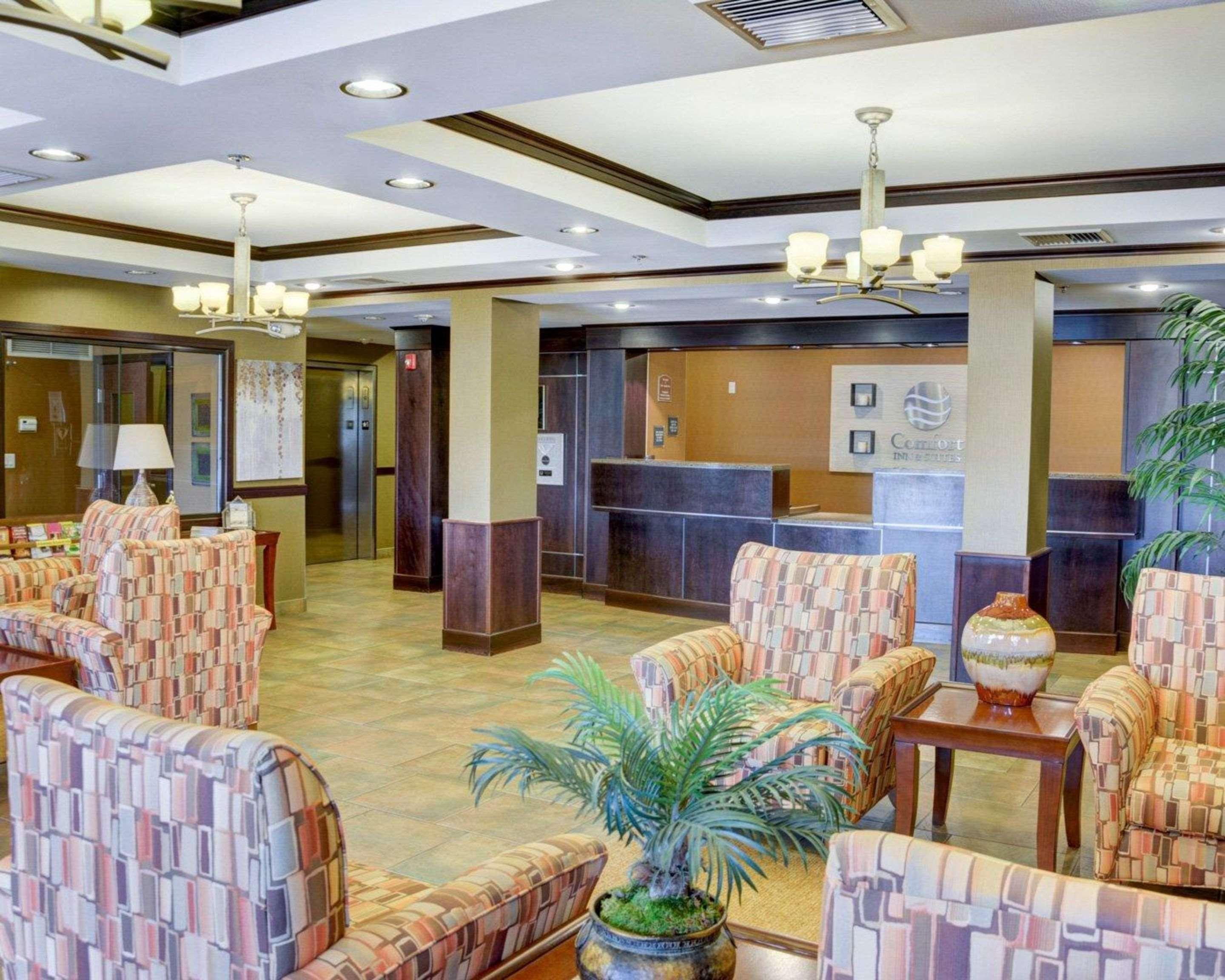 Comfort Inn&Suites Russellville I-40 Eksteriør bilde
