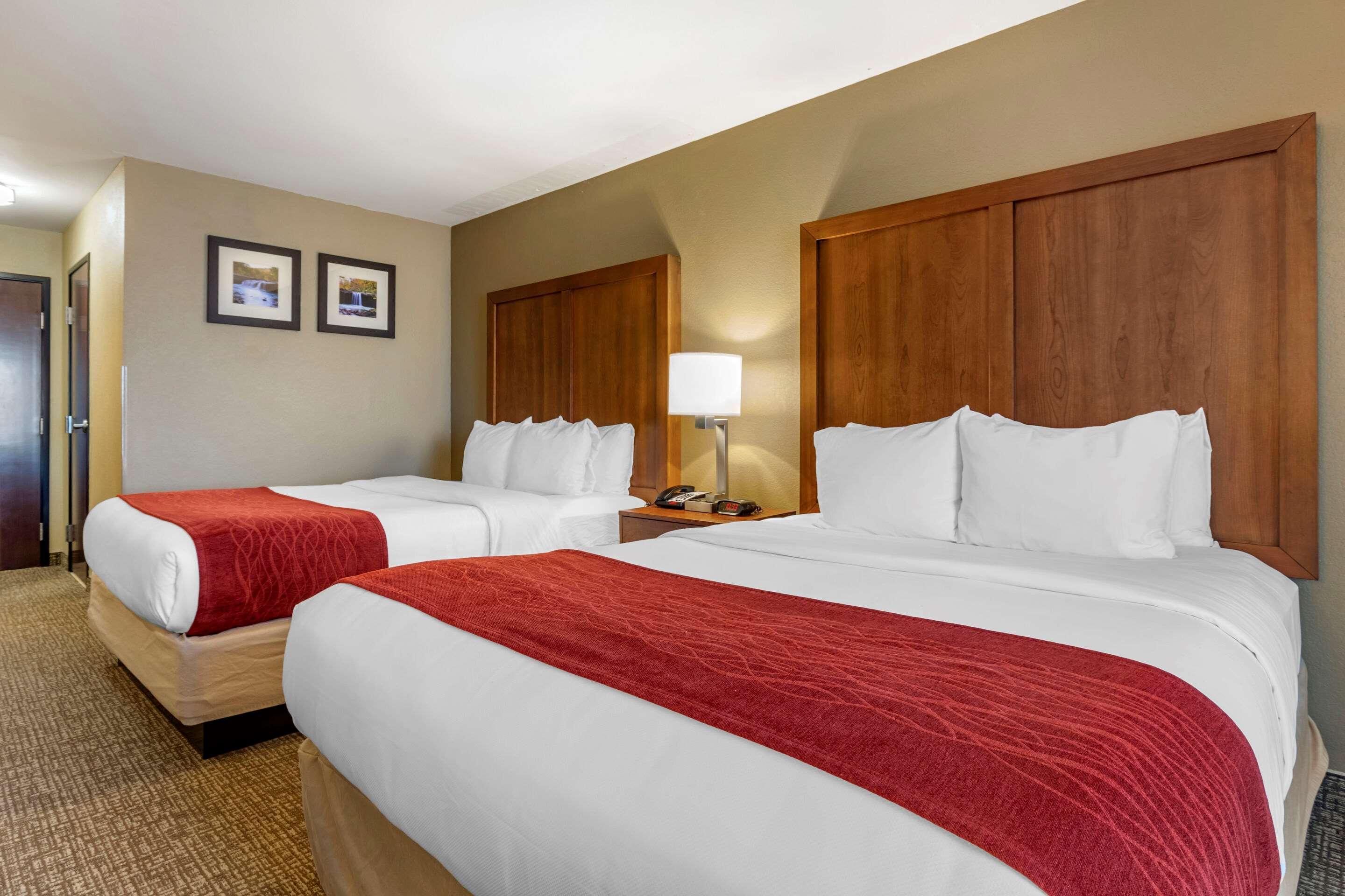 Comfort Inn&Suites Russellville I-40 Eksteriør bilde