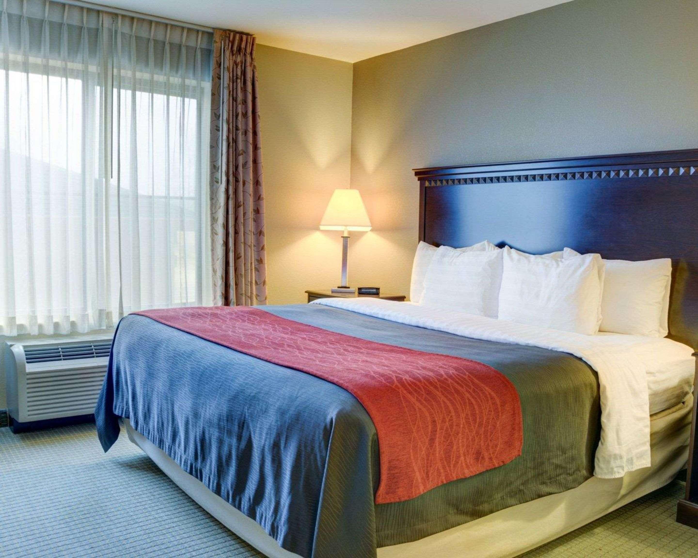 Comfort Inn&Suites Russellville I-40 Eksteriør bilde