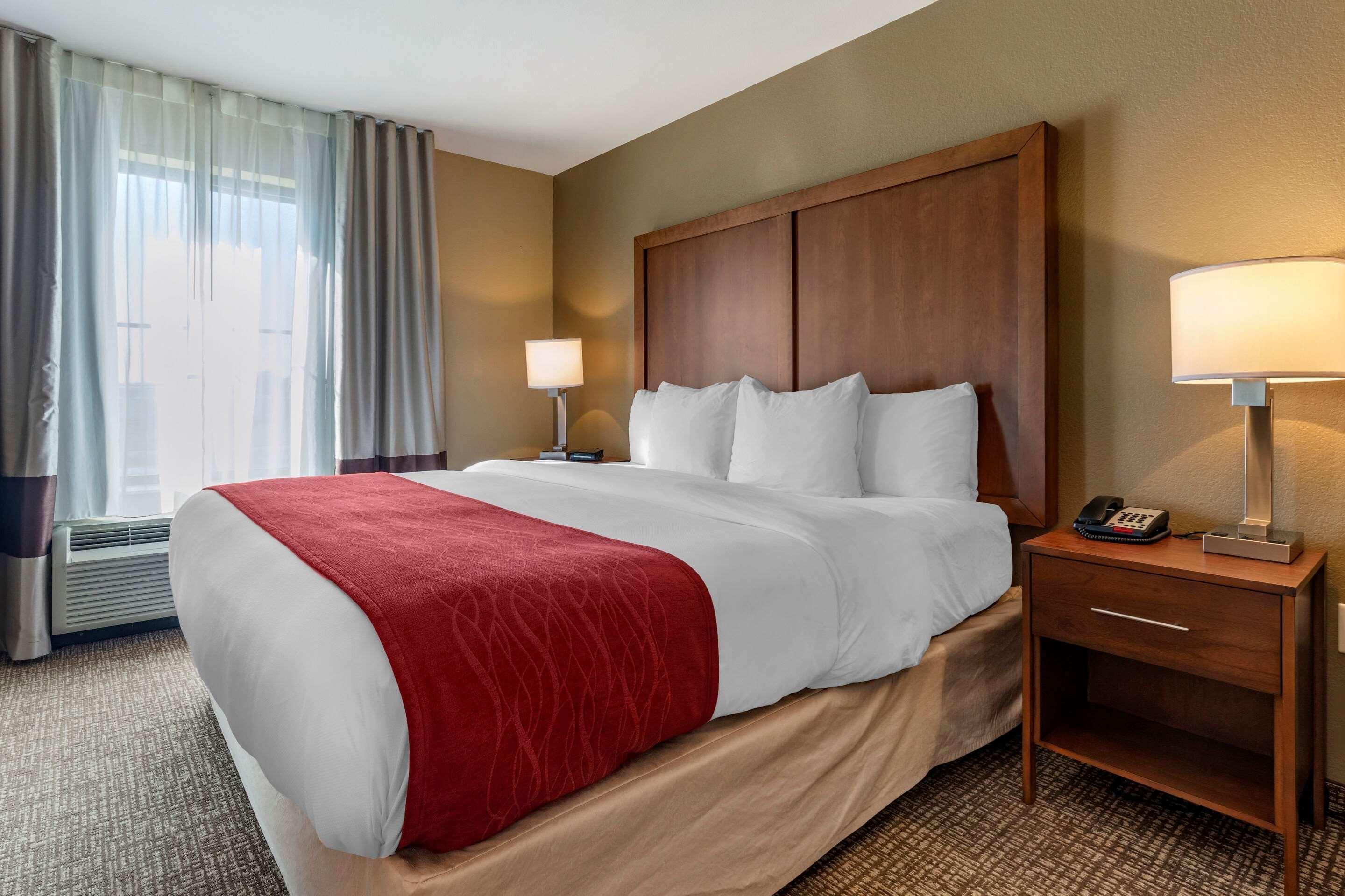 Comfort Inn&Suites Russellville I-40 Eksteriør bilde